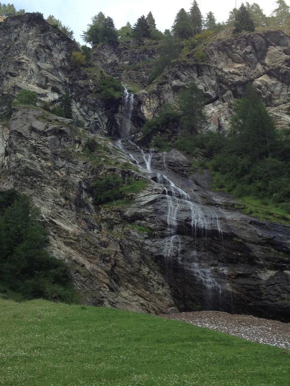 Albergo Alpenrose Gressoney-Saint-Jean Exterior foto